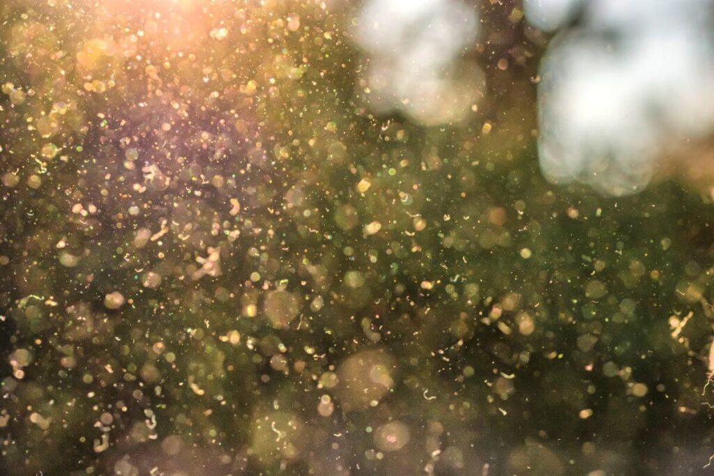 COMMON-ALLERGY-TRIGGERS