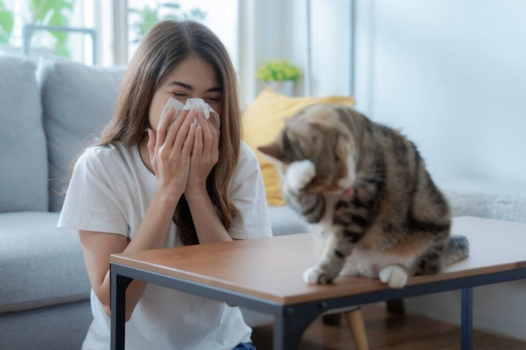 MANAGING-DUST-MITES-AT-HOME